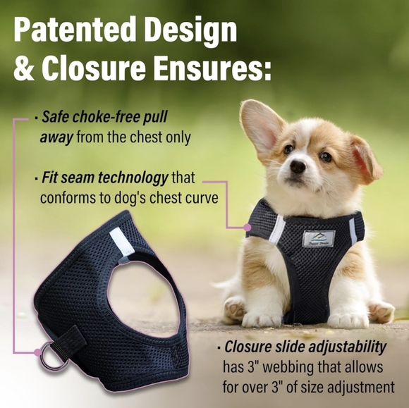 Doggie Design Dog Harness - Picture 3 of 14